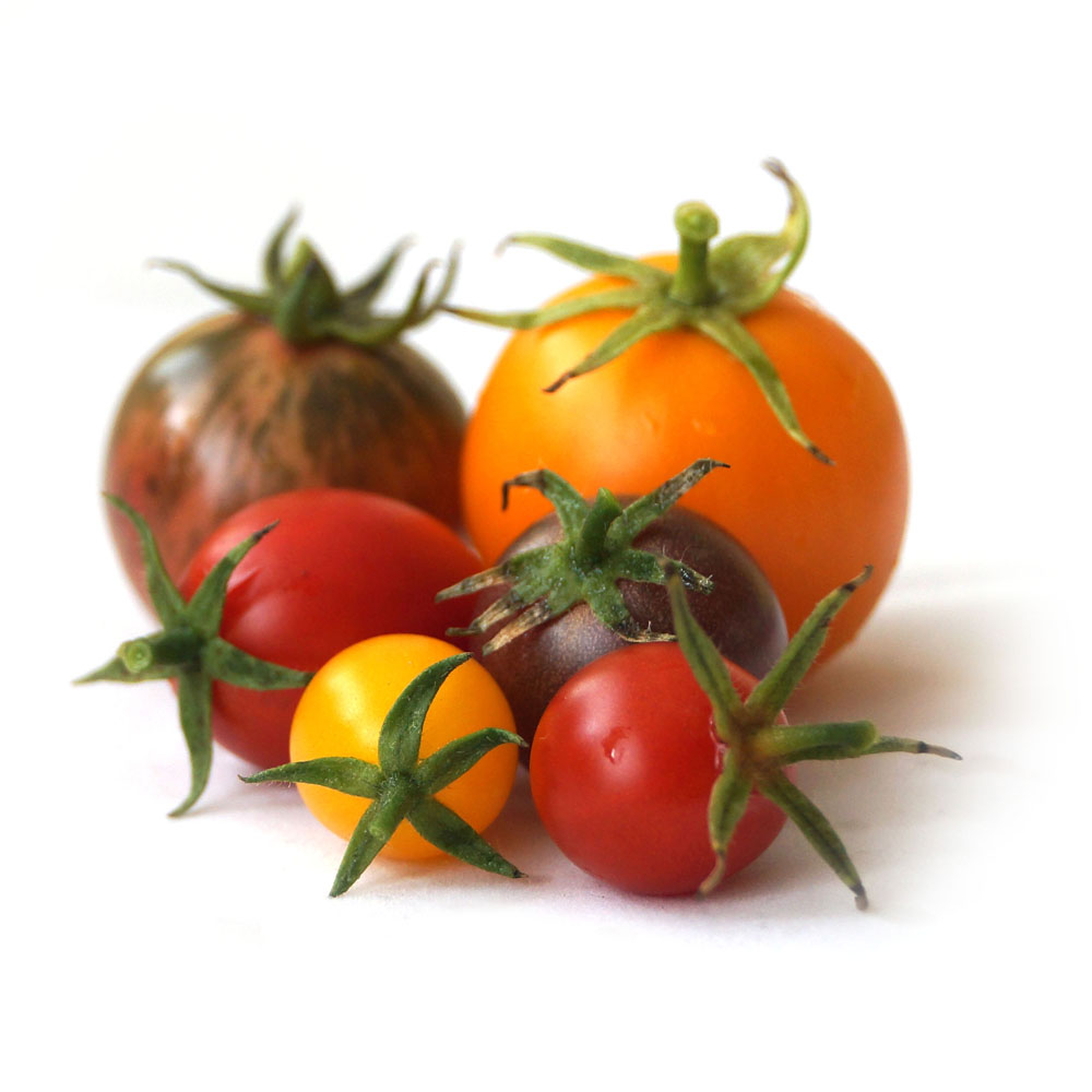 Przegląd odmian pomidorów z sezonu 2014