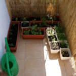 2012-05-21 balkonowy warzywniak 2012-05-21 balkonowy warzywniak