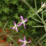 2012-07-19 maciejka 2012-07-19 maciejka