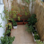 2012-08-07 balkon po porządkach 2012-08-07 balkon po porządkach