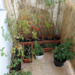 2012-08-07 balkon przed porządkami 2012-08-07 balkon przed porządkami