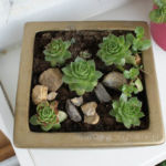 2012-09-05 skalniaki 2012-09-05 skalniaki