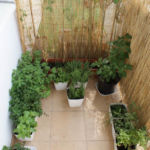 2012-09-05 słoneczny balkon 2012-09-05 słoneczny balkon