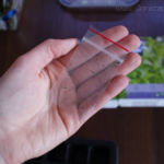 2013-02-04 nasiona stewii 2013-02-04 nasiona stewii