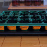 2013-03-10 zasiane zioła 2013-03-10 zasiane zioła