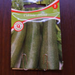 2013-03-27 cukinia nasiona 2013-03-27 cukinia nasiona