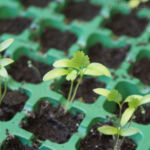 2013-03-28 kolendra 2013-03-28 kolendra