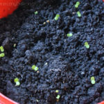 2013-03-28 roszponka 2013-03-28 roszponka