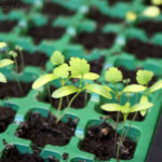 2013-04-02 kolendra 2013-04-02 kolendra