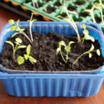 2013-04-07 kolendra 2013-04-07 kolendra