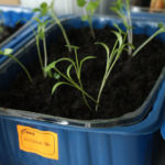 2013-04-07 kolendra 2013-04-07 kolendra