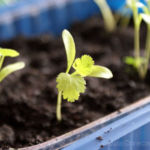 2013-04-07 kolendra 2013-04-07 kolendra