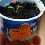 2013-04-07 rukola 2013-04-07 rukola