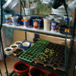 2013-04-07 szklarnia 2013-04-07 szklarnia