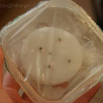 2013-04-14 gynostemma zasiana inaczej 2013-04-14 gynostemma zasiana inaczej