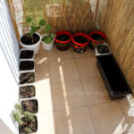 2013-04-14 pierwsze wystawienie na balkon 2013-04-14 pierwsze wystawienie na balkon