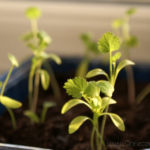 2013-04-14 kolendra 2013-04-14 kolendra