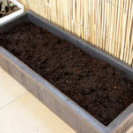 2013-04-14 zasiana marchewka 2013-04-14 zasiana marchewka