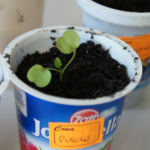 2013-04-14 rukola 2013-04-14 rukola