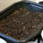 2013-04-14 sałaty - mieszanka 2013-04-14 sałaty - mieszanka