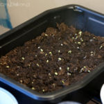 2013-04-15 mieszanka sałat 2013-04-15 mieszanka sałat