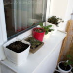 2013-04-16 parapet balkonowy 2013-04-16 parapet balkonowy