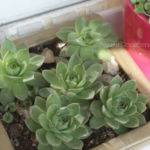 2013-05-09 skalniak 2013-05-09 skalniak