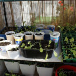 2013-05-09 szklarenka 2013-05-09 szklarenka