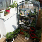 2013-05-09 szklarenka 2013-05-09 szklarenka