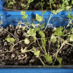 2013-05-19 kolendra 2013-05-19 kolendra