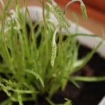 2013-05-19 minutina 2013-05-19 minutina