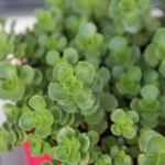 2013-08-14 skalniak 2013-08-14 skalniak