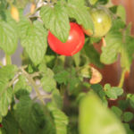 2013-09-26 balkoni red 2013-09-26 balkoni red